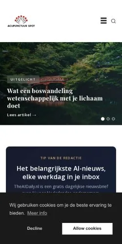 Pré-visualização do site AcupunctuurSpot, meio de Países Baixos para artigos patrocinados