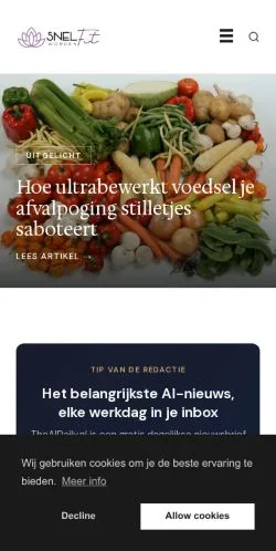 Podgląd witryny SnelFitWorden, medium z kraju Holandia do artykułów sponsorowanych