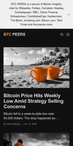 Vista previa del sitio Cryptocurrency News And Analysis, medio de Estados Unidos para artículos patrocinados