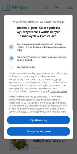 Anteprima del sito Bizneo, media di Polonia per articoli sponsorizzati