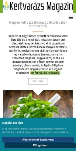 Vorschau der Website Főoldal, Medium aus Ungarn für gesponserte Artikel