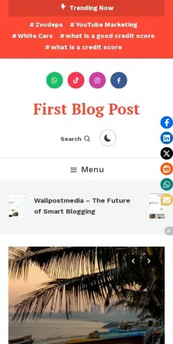 Forhåndsvisning af First Blog Post, medie fra USA til sponsorerede artikler
