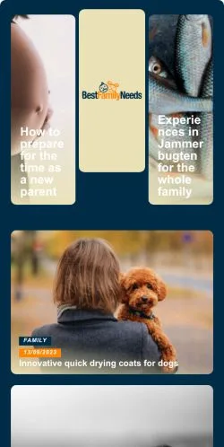 Anteprima del sito Best Family Needs, media di Stati Uniti per articoli sponsorizzati