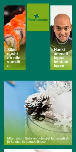 Anteprima del sito Fiksu Harrastus, media di Finlandia per articoli sponsorizzati