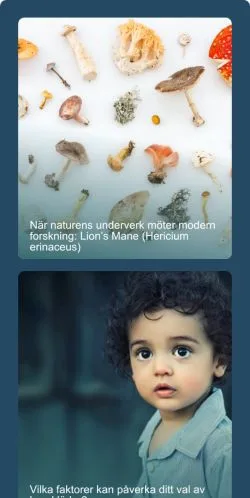 Anteprima del sito Lifestyle Bloggen, media di Svezia per articoli sponsorizzati