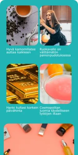 Anteprima del sito Tyyliblogi, media di Finlandia per articoli sponsorizzati