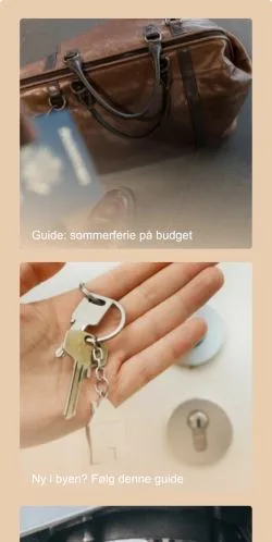 Förhandsvisning av webbplatsen Vejled, medium i Danmark för sponsrade artiklar