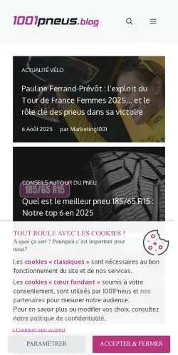 Anteprima del sito 1001PNEUS, media di Francia per articoli sponsorizzati