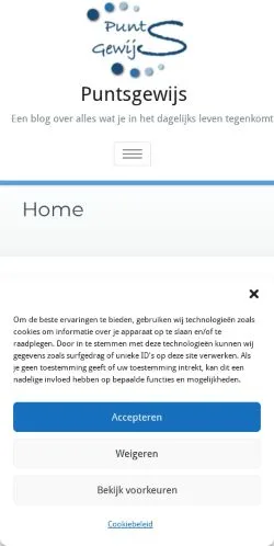Podgląd witryny Puntsgewijs, medium z kraju Holandia do artykułów sponsorowanych