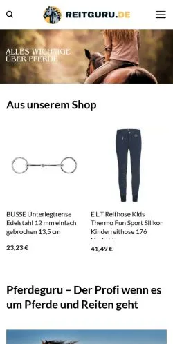 Podgląd witryny Reitguru, medium z kraju Niemcy do artykułów sponsorowanych