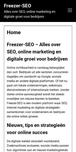 스폰서 기사용 프랑스 매체 Freezer-SEO 사이트 미리보기