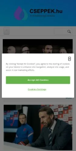 Anteprima del sito Cseppek, media di Ungheria per articoli sponsorizzati