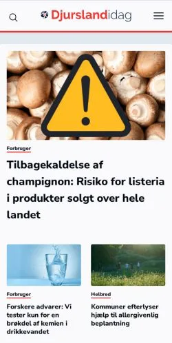 Anteprima del sito Djursland I Dag, media di Danimarca per articoli sponsorizzati