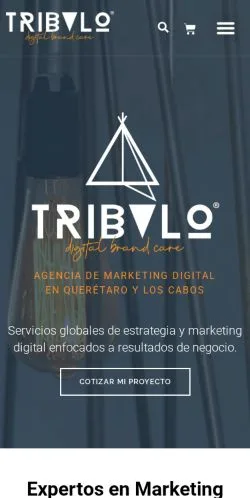 Anteprima del sito Tribalo, media di Messico per articoli sponsorizzati