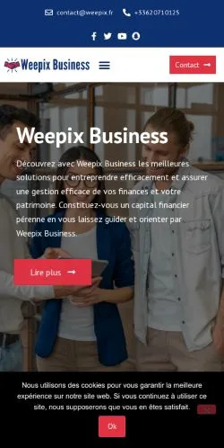 スポンサード記事向けのフランスメディア、Weepix Businessのサイトプレビュー