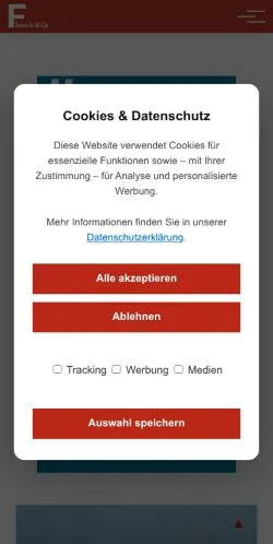 Anteprima del sito Fleisch & Co, media di Austria per articoli sponsorizzati