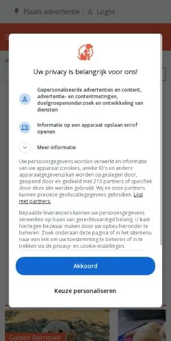 Anteprima del sito Startpunthonden, media di Paesi Bassi per articoli sponsorizzati