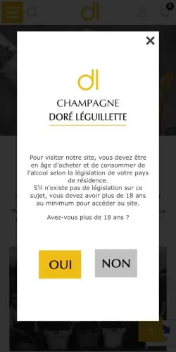 Anteprima del sito Champagne Doré Léguillette, media di Francia per articoli sponsorizzati