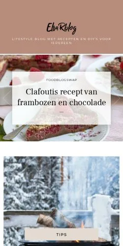 スポンサード記事向けのオランダメディア、ElsaRblogのサイトプレビュー