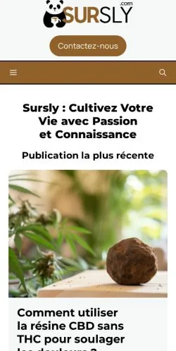 Preview of the Sursly website, a media outlet in France for sponsored articles