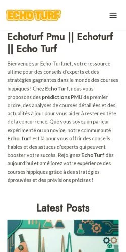 스폰서 기사용 미국 매체 Echo Turf 사이트 미리보기