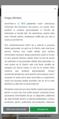Vorschau der Website 9AM, Medium aus Rumänien für gesponserte Artikel