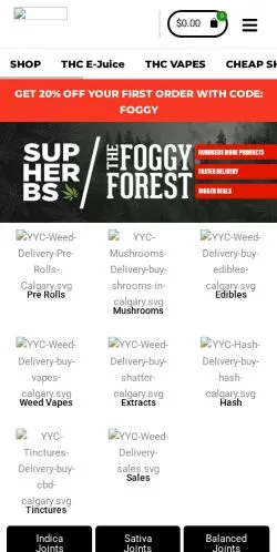Anteprima del sito The Foggy Forest, media di Stati Uniti per articoli sponsorizzati