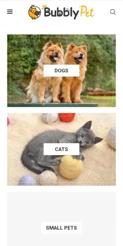 Preview of the Bubbly Pet website, a media outlet in United States for sponsored articles