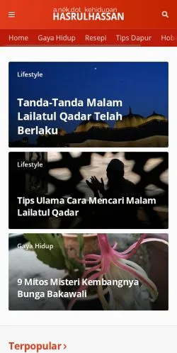 スポンサード記事向けのアメリカ合衆国メディア、Hasrul Hassanのサイトプレビュー