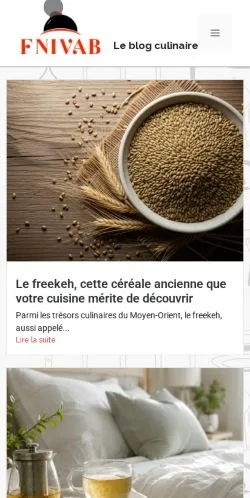 Anteprima del sito Fnivab, media di Francia per articoli sponsorizzati