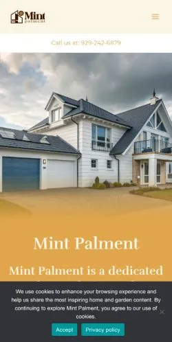 Preview of the Mint Palment website, a media outlet in United States for sponsored articles