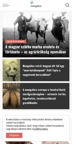 스폰서 기사용 헝가리 매체 Mangalica Fesztivál 사이트 미리보기