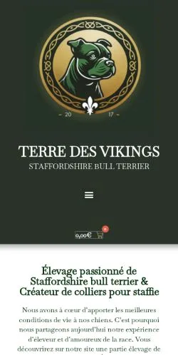 Anteprima del sito Terre Des Vikings, media di Francia per articoli sponsorizzati