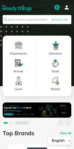 Forhåndsvisning av nettstedet TheWeedyThings, medium fra USA for sponsede artikler