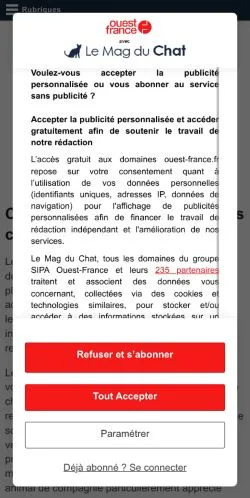 Podgląd witryny Le Mag du Chat, medium z kraju Francja do artykułów sponsorowanych