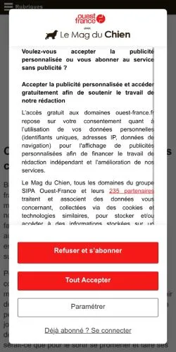 스폰서 기사용 프랑스 매체 Le Mag Du Chien 사이트 미리보기