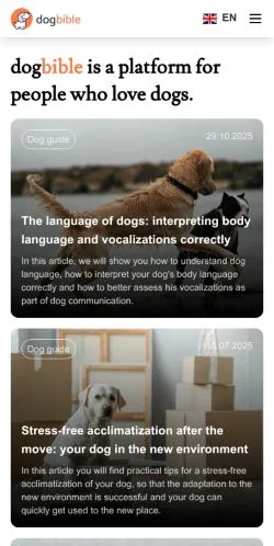 Preview of the Dogbible website, a media outlet in United States for sponsored articles