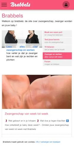 スポンサード記事向けのオランダメディア、Brabbelsのサイトプレビュー