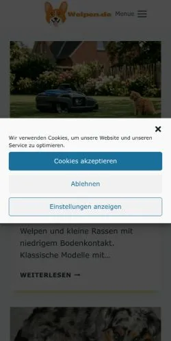 Vista previa del sitio Welpen, medio de Alemania para artículos patrocinados