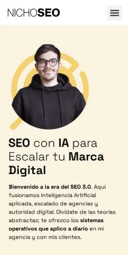 スポンサード記事向けのアメリカ合衆国メディア、Nichoseoのサイトプレビュー