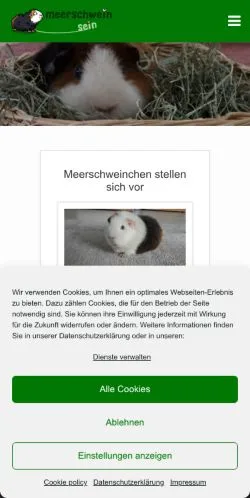 Anteprima del sito Meerschwein Sein, media di Germania per articoli sponsorizzati