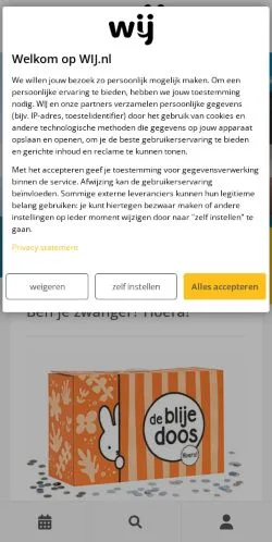 スポンサード記事向けのオランダメディア、WIJのサイトプレビュー