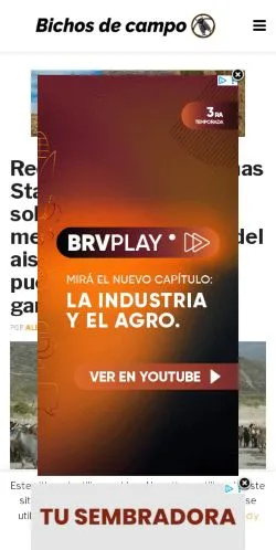 Pré-visualização do site Bichos De Campo, meio de Argentina para artigos patrocinados