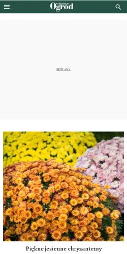 스폰서 기사용 폴란드 매체 Mój Piękny Ogród 사이트 미리보기