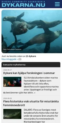 Anteprima del sito Dykarna, media di Svezia per articoli sponsorizzati