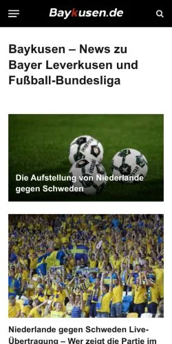 Anteprima del sito Baykusen, media di Germania per articoli sponsorizzati