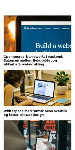 Anteprima del sito netskaberne.dk, media di Danimarca per articoli sponsorizzati