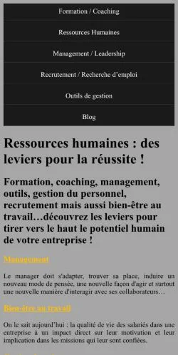 Vorschau der Website Formation RH, Medium aus Frankreich für gesponserte Artikel