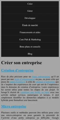 Anteprima del sito Créer Et Entreprendre, media di Francia per articoli sponsorizzati