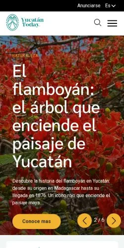 Anteprima del sito Yucatán Today, media di Spagna per articoli sponsorizzati
